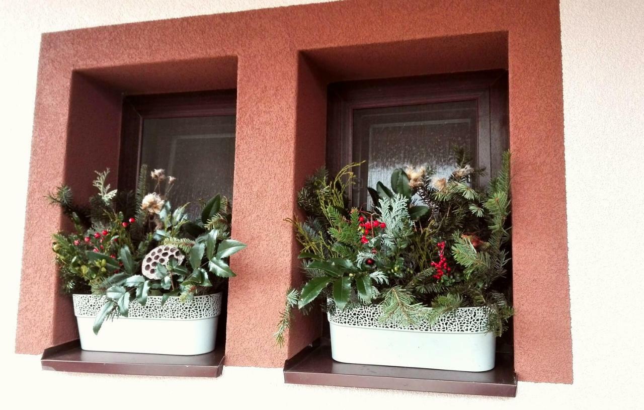 Vila Privat Kovacova Žiar Exteriér fotografie