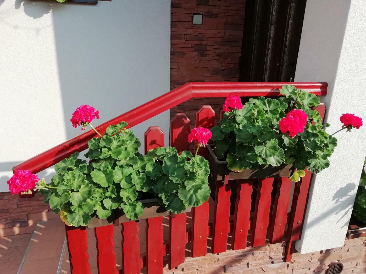 Vila Privat Kovacova Žiar Exteriér fotografie