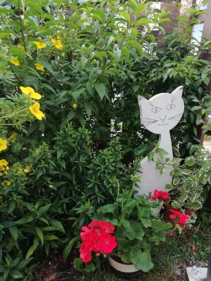 Vila Privat Kovacova Žiar Exteriér fotografie