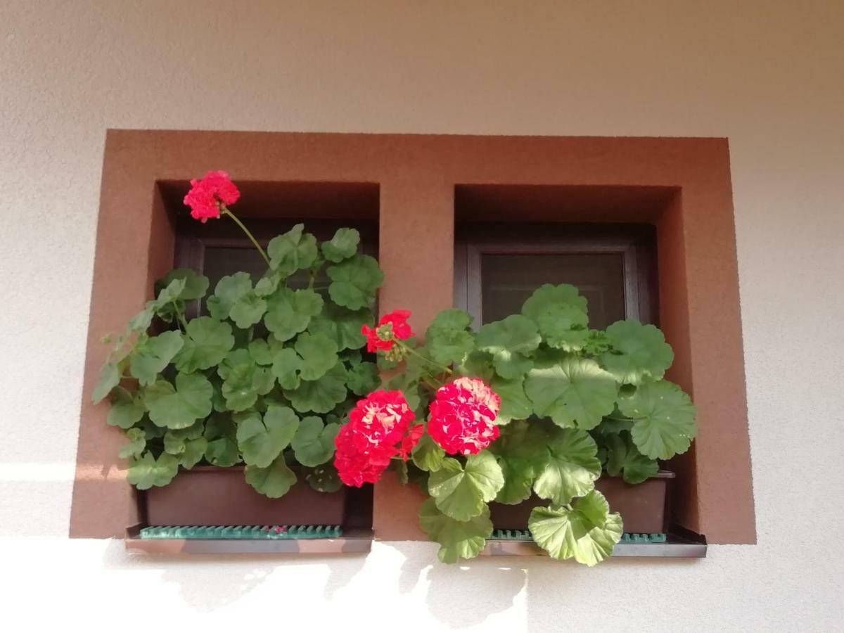 Vila Privat Kovacova Žiar Exteriér fotografie