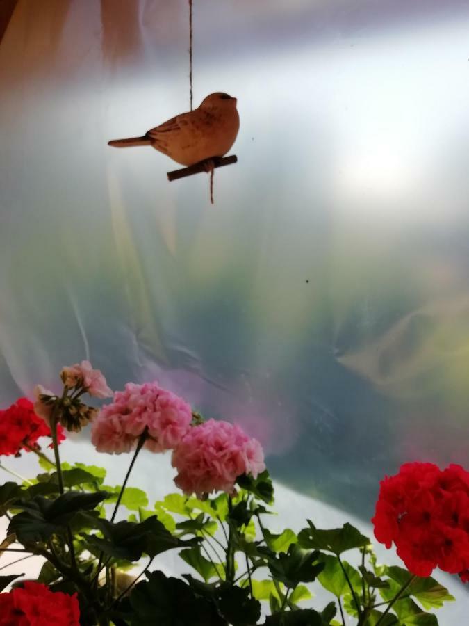Vila Privat Kovacova Žiar Exteriér fotografie